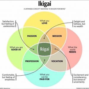 ikigai with gaps filled in