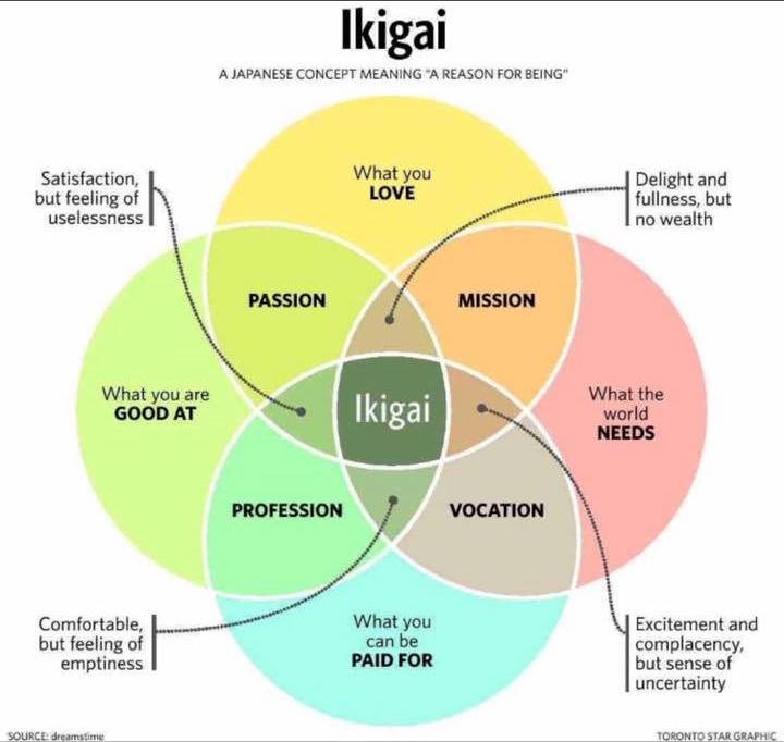 ikigai with gaps filled in