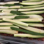 zucchini lasagna last layer of zucchini