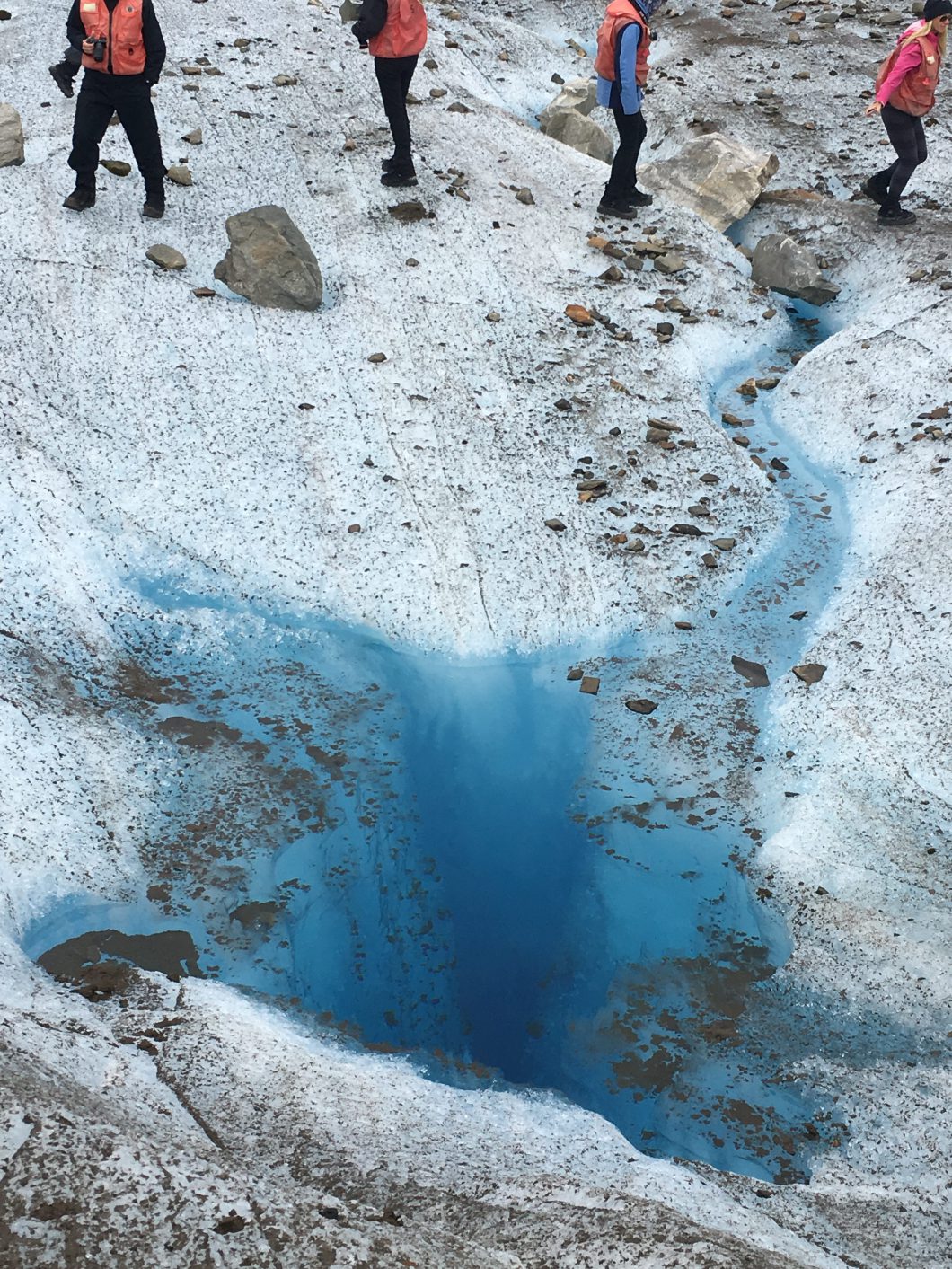 Meade Glacier by Bonnie Gillespie - Abraham-Hicks Cruise to Alaska 2016