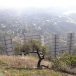 thehollywoodsign copy