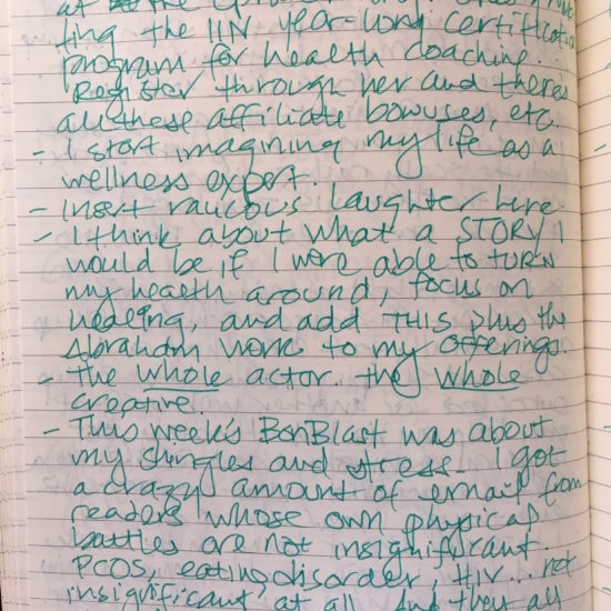 june 15 2016 journal bonnie gillespie