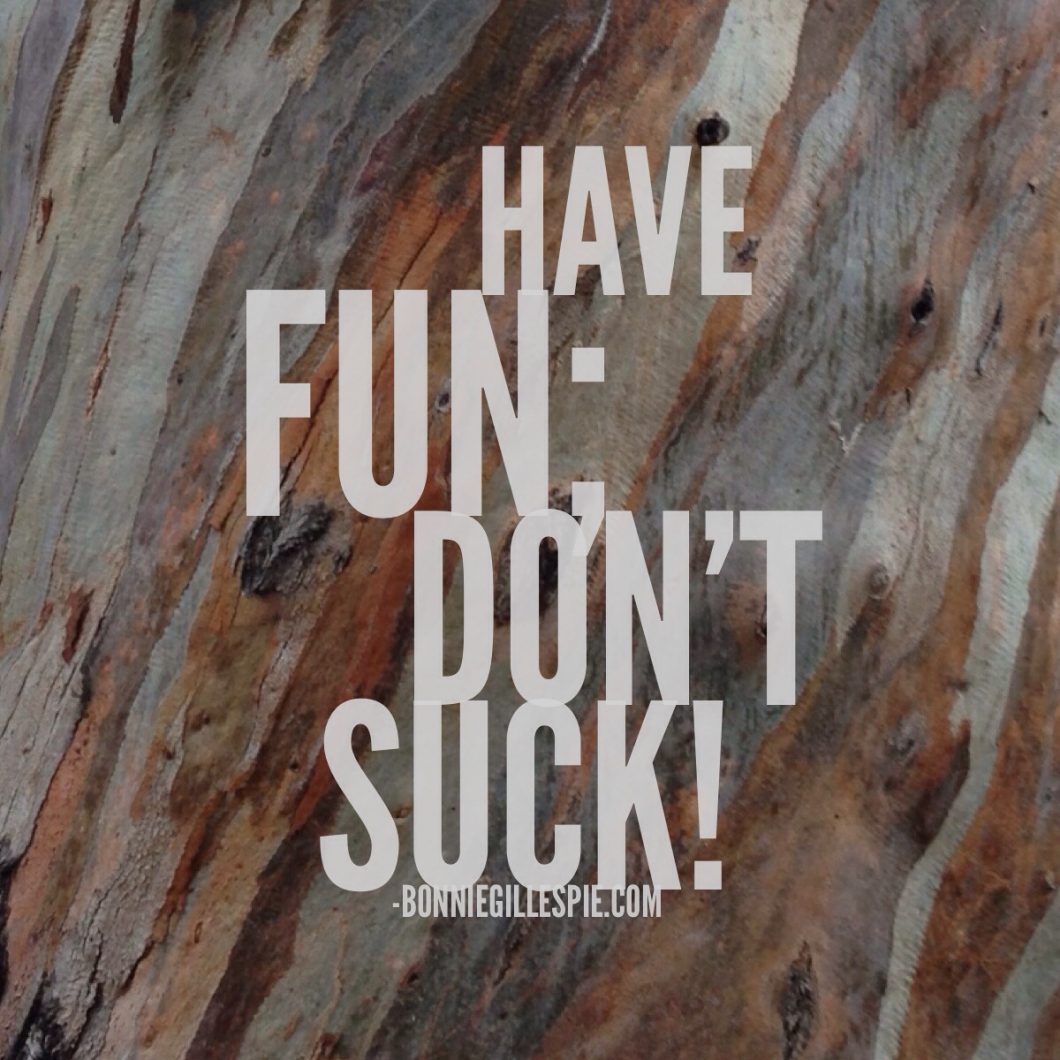 have fun dont suck bonnie gillespie