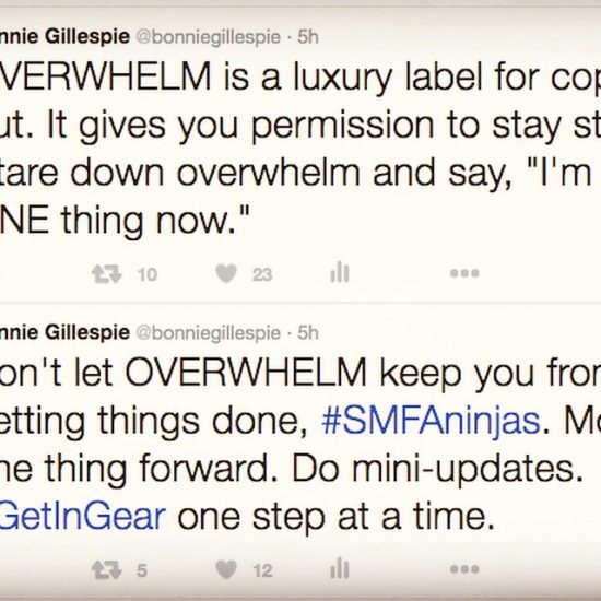overwhelm tweets bonnie gillespie