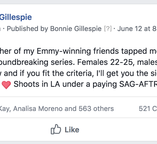 casting favor at fb group bonnie gillespie