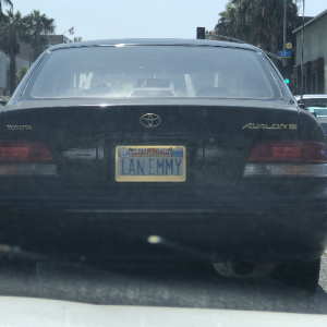 1anemmy license plate
