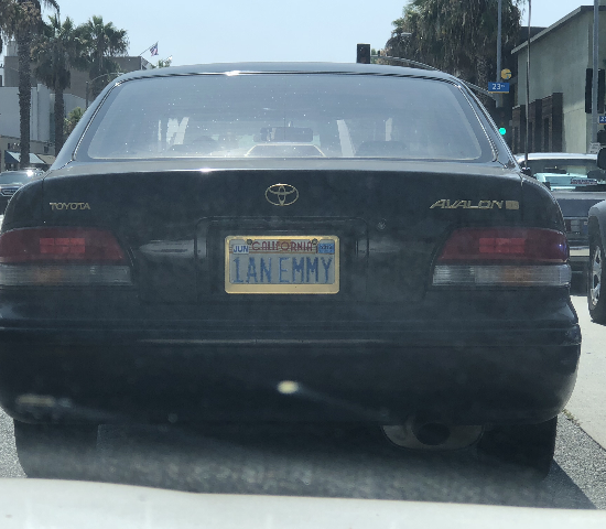 1anemmy license plate