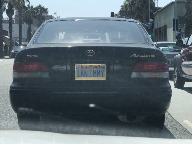 1anemmy license plate