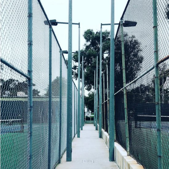 perspective reed park tennis courts