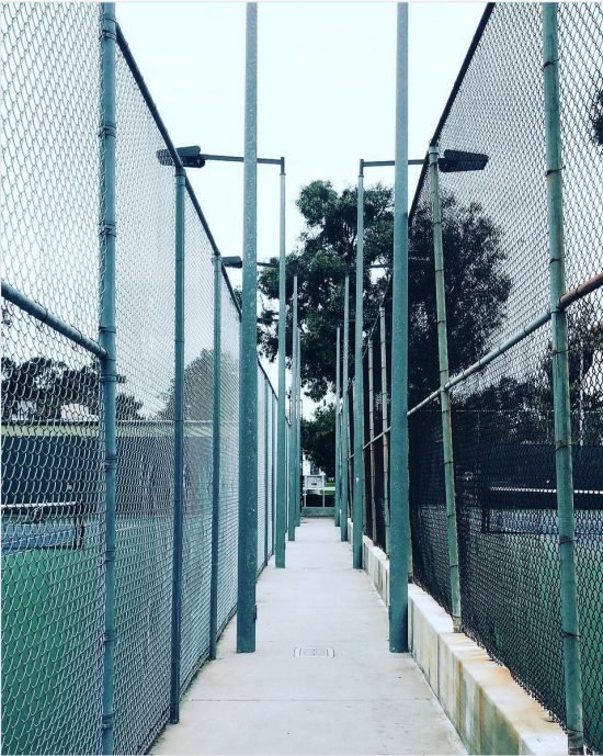 perspective reed park tennis courts
