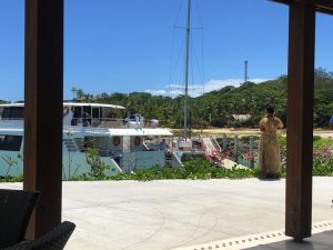 Malolo Cat Arrival in Fiji UGWA2020 by Bonnie Gillespie