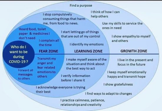 Bonnie Gillespie 3 Zones Fear Learning Growth by Mary Kokinda