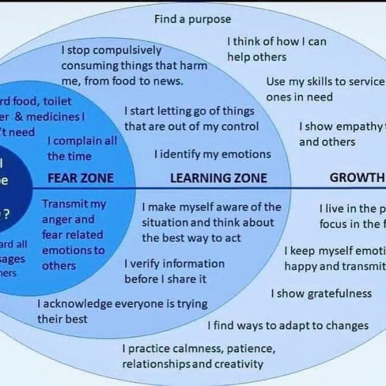 Bonnie Gillespie 3 Zones Fear Learning Growth by Mary Kokinda