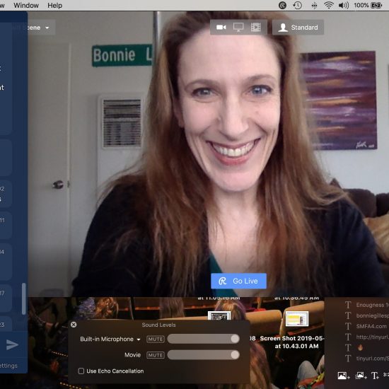 Bonnie Gillespie using Restream to livestream April 2019