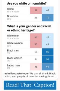 rachel lang astrologer we can thank non-whites for saving our democracy