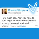 sage white house bonnie gillespie