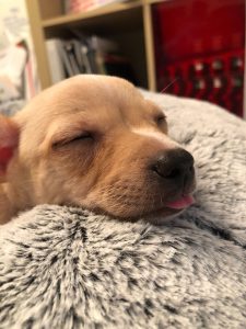 mala nap tongue out