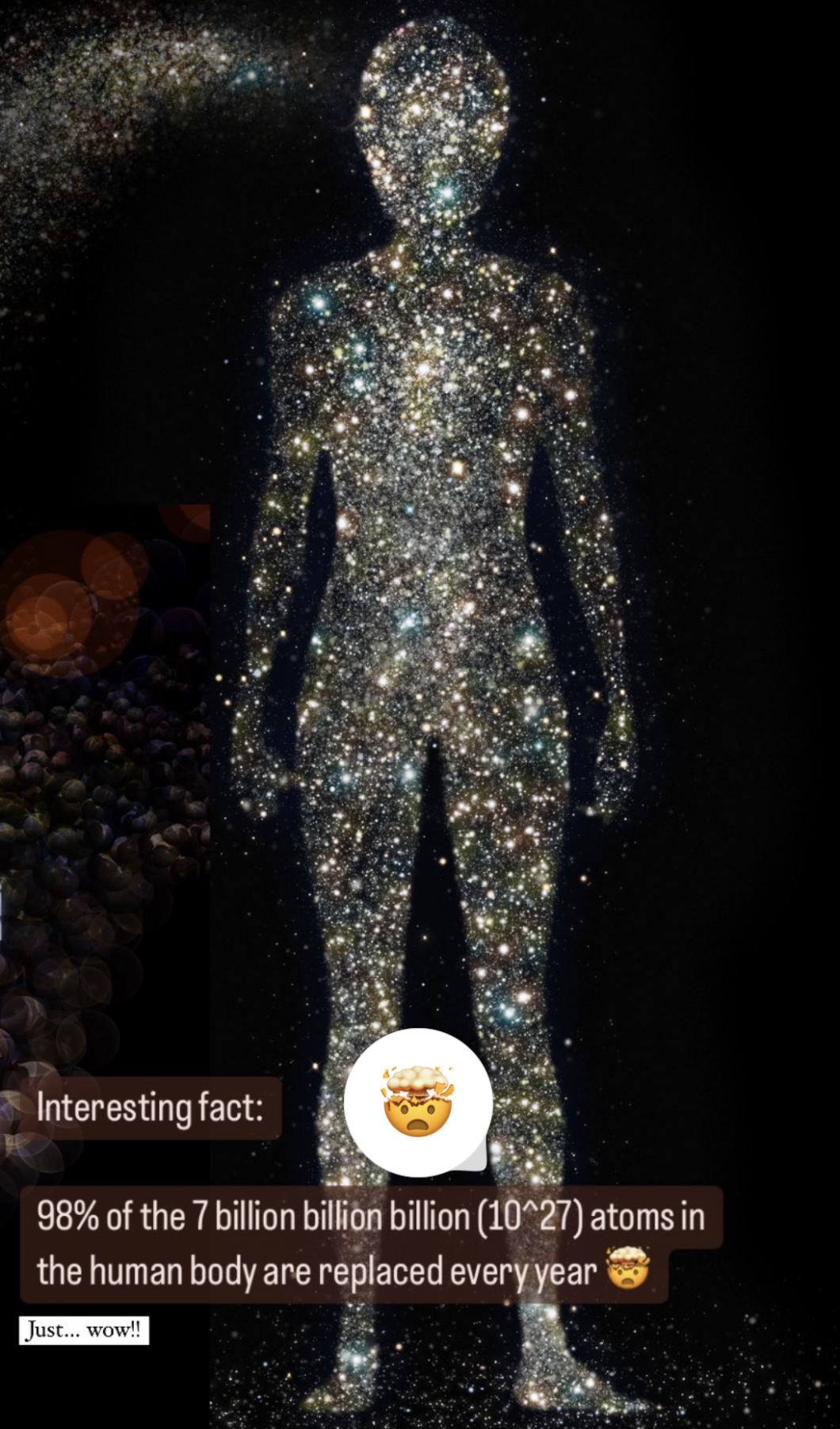 98% of the atoms in the human body are replaced every year