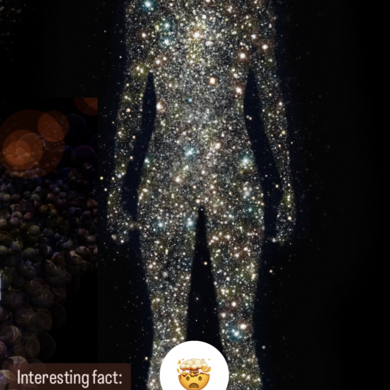 98% of the atoms in the human body are replaced every year