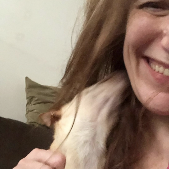 Mala Beads and Bonnie Gillespie; mixed-breed Chihuahua, Min-Pin, Pom puppy and his very happy mommy