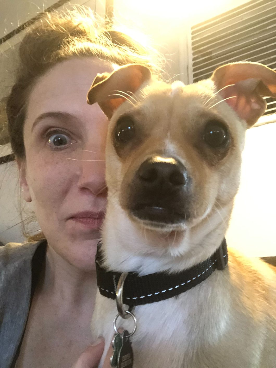 Bonnie Gillespie and her puppy, Mala Beads. This is 53... and 1.