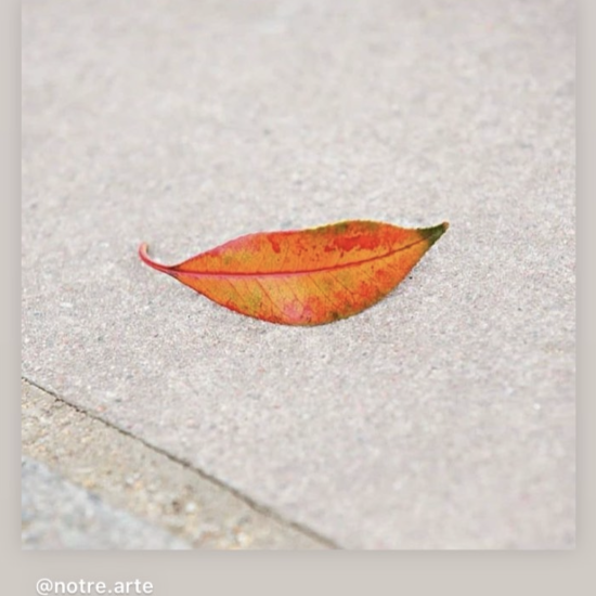 lips leaf