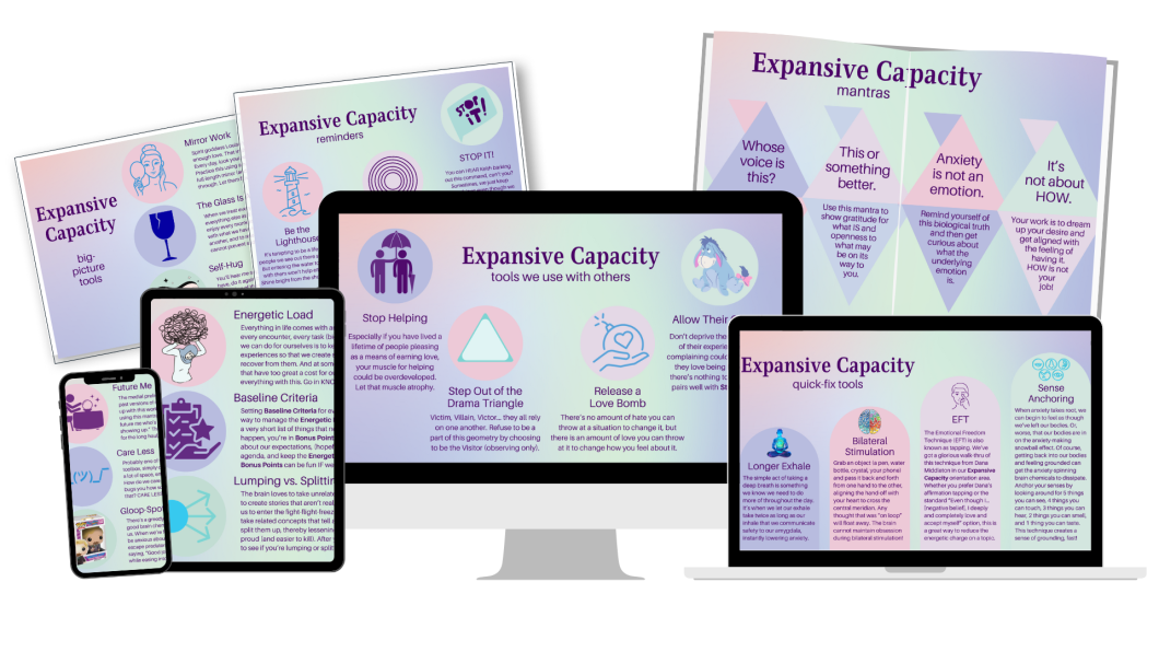 a collection of infographics from the Expansive Capacity toolbox