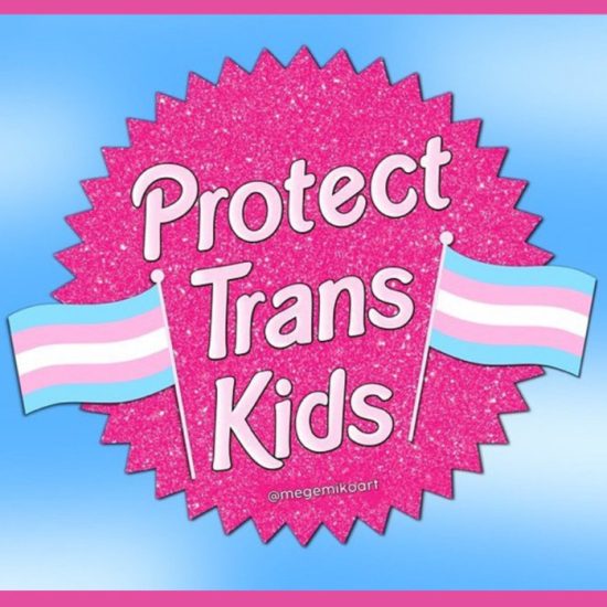 Barbie logo with Protect Trans Kids and transgender flags