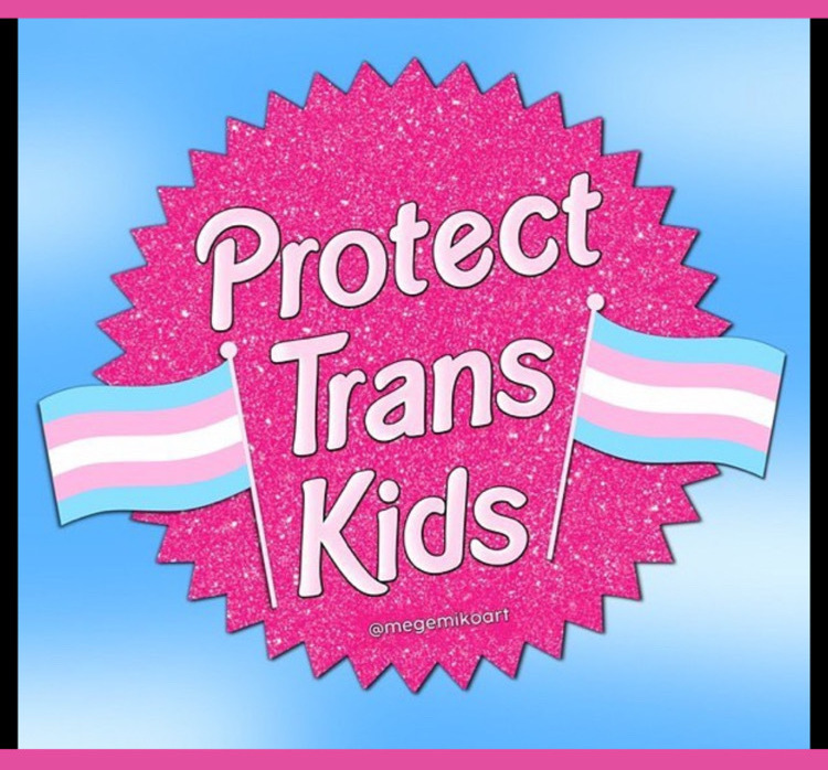Barbie logo with Protect Trans Kids and transgender flags