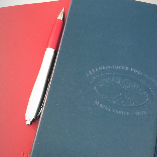 2 journals; 1 small red, 1 large navy blue; a nice pen; words about the power move that is keeping 2 journals (one of them, The Bitch Book)